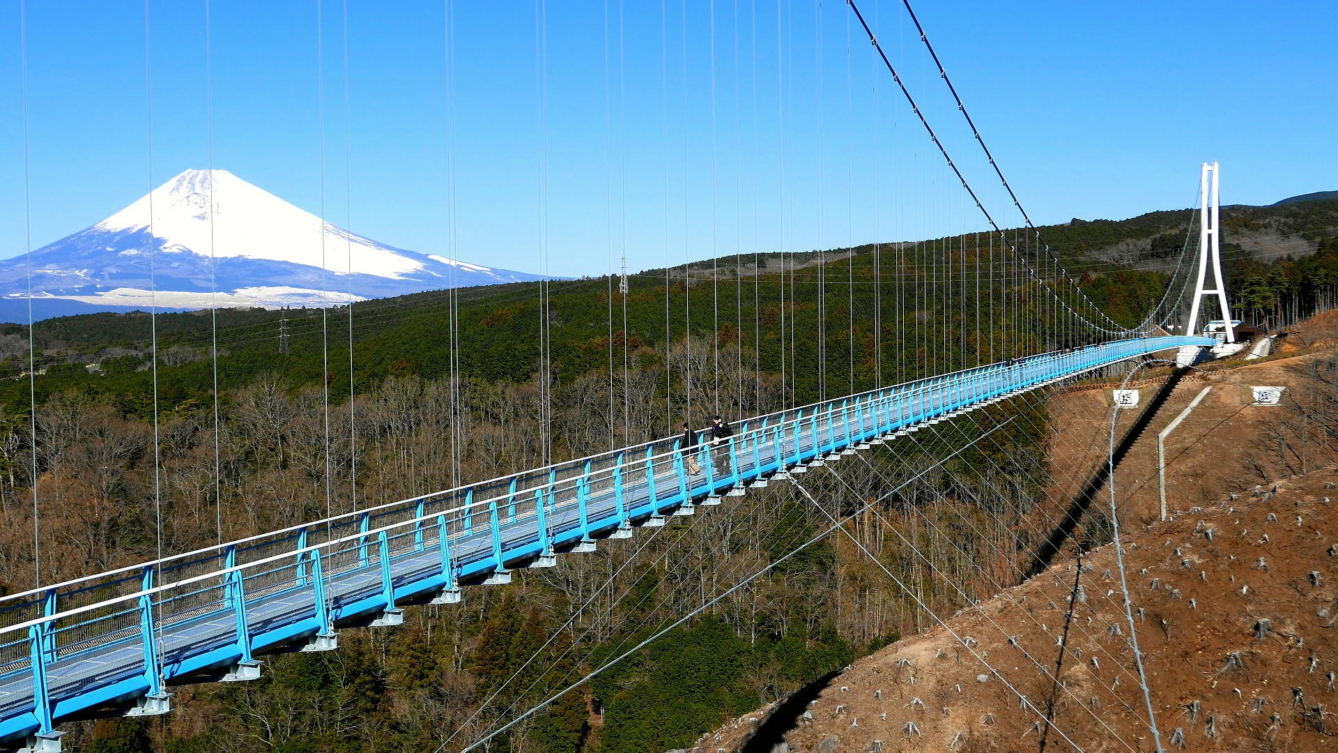 一度は渡ってみたい絶景が見渡せる吊り橋 関東圏からも近い人気のスポット 四季を楽しむ旅と宿の情報ラウンジ